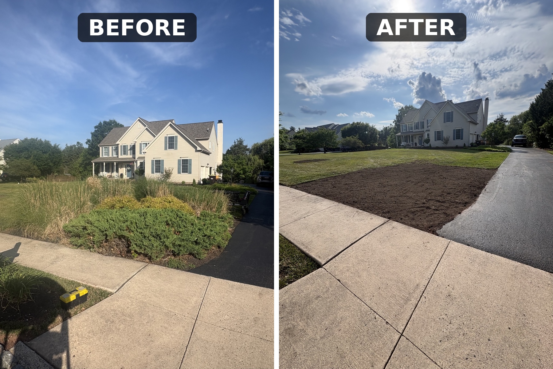 Overgrown front-yard bed removed and regraded, before and after