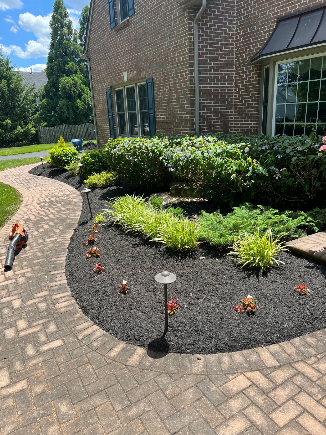 Curved mulch bed along paver walkway with landscape lighting